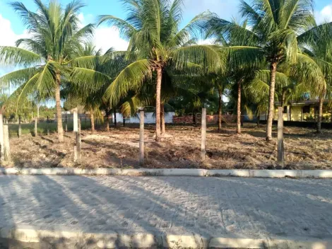 Lotes Praia dos Flamboyants - Tatuamunha - Rota dos Milagres